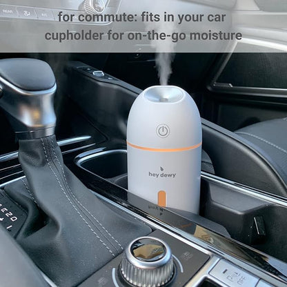 Hey Dewy Wireless, Rechargeable, Self-Care, Skin-Nourishing, Hydrating, Portable Cool Mist Humidifier (Pearl)