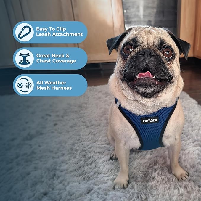 Best Pet Supplies Voyager Step-in Air Harness - All Weather Mesh, Reflective, No Pull Harness for Dogs, Cats - Secure with Hook & Loop Fastener, Buckle, Double D-Rings - Blue/Black Trim, M