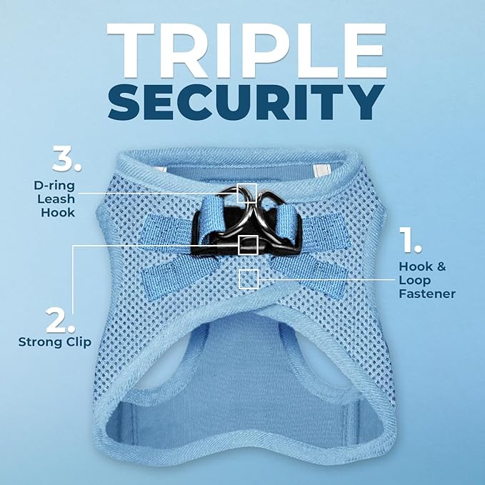 Voyager Step-in Air All Weather Mesh Harness and Reflective Dog 5 ft Leash Combo with Neoprene Handle, for Small, Medium and Large Breed Puppies by Best Pet Supplies - Set (Baby Blue), XL