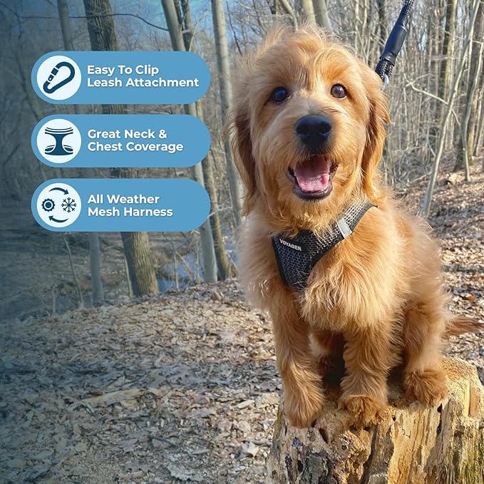 Best Pet Supplies Voyager Step-in Air Harness - All Weather Mesh, Reflective, No Pull Harness for Dogs, Cats - Secure with Hook & Loop Fastener, Buckle, Double D-Rings - Gray 2-Tone, XL