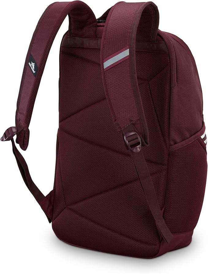 High Sierra Swoop SG Backpack, Travel or Work Laptop Bookbag with Drop Protection Pocket, and Tablet Sleeve, One Size, Maroon