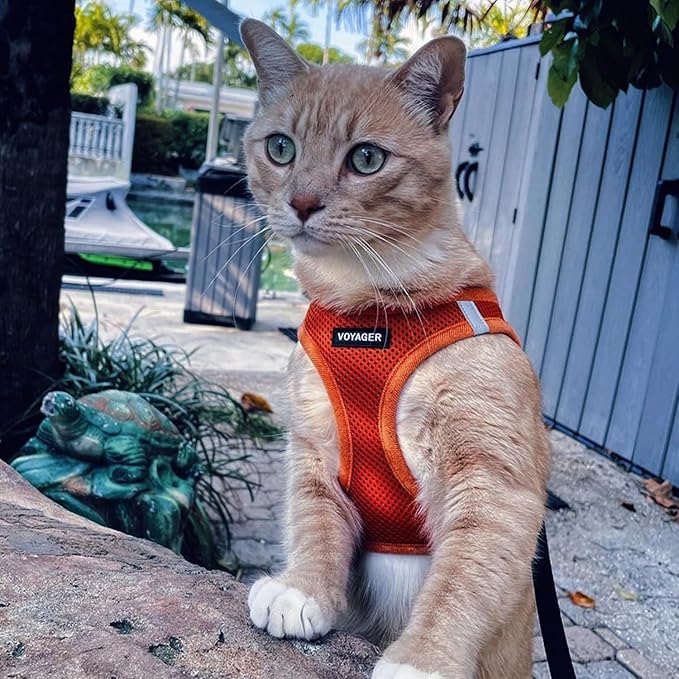 Best Pet Supplies Voyager Step-in Air Harness - All Weather Mesh, Reflective, No Pull Harness for Dogs, Cats - Secure with Hook & Loop Fastener, Buckle, Double D-Rings - Orange, XS