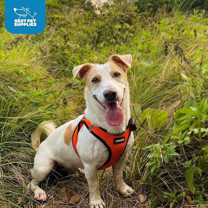 Best Pet Supplies Voyager Step-in Air Harness - All Weather Mesh, Reflective, No Pull Harness for Dogs, Cats - Secure with Hook & Loop Fastener, Buckle, Double D-Rings - Orange/Black Trim, L