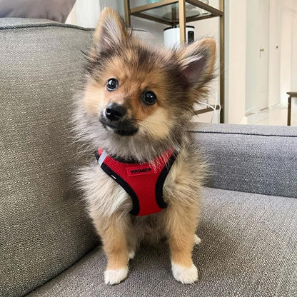 Best Pet Supplies Voyager Step-in Air Harness - All Weather Mesh, Reflective, No Pull Harness for Dogs, Cats - Secure with Hook & Loop Fastener, Buckle, Double D-Rings - Red/Black Trim, S