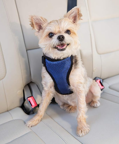 PetSafe Happy Ride Dog Safety Harness for Cars - Dog Car Harness Includes Seat Belt Tether - Keeps Pets Restrained - Breathable Mesh, Adjustable Straps - Dog Travel Accessories for Car - Small