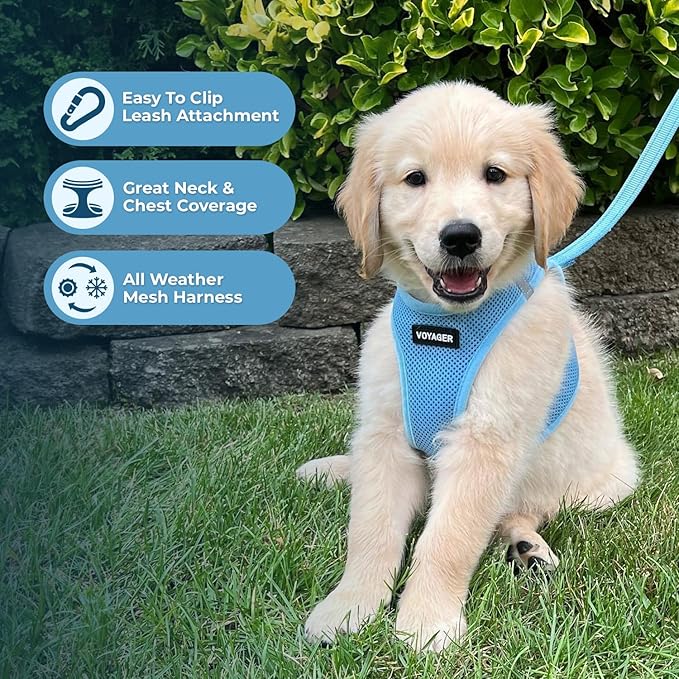 Voyager Step-in Air All Weather Mesh Harness and Reflective Dog 5 ft Leash Combo with Neoprene Handle, for Small, Medium and Large Breed Puppies by Best Pet Supplies - Set (Baby Blue), XL