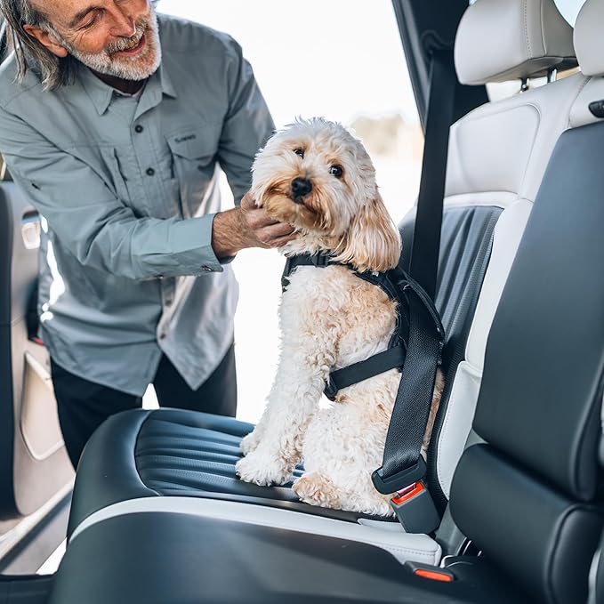 Thule Cappy Dog Harness L - Crash-Tested for Safety - Seatbelt passthrough - Adjustable & Easy to Clean - Padded Breathable mesh Panels - Leash Loop - Step-in Design