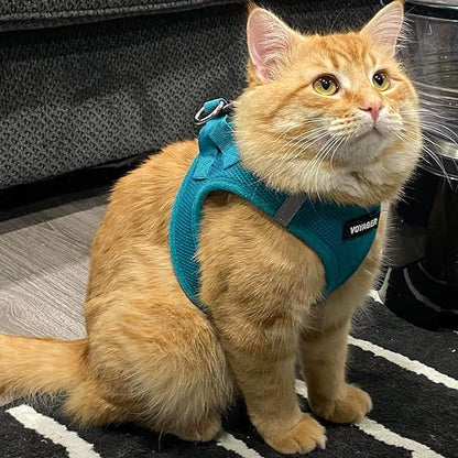 Best Pet Supplies Voyager Step-in Air Harness - All Weather Mesh, Reflective, No Pull Harness for Dogs, Cats - Secure with Hook & Loop Fastener, Buckle, Double D-Rings - Turquoise, XXS