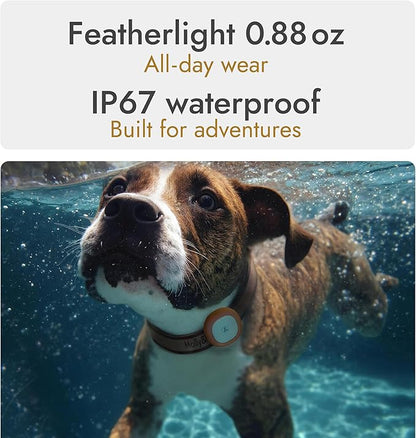 Molly&Cody GPS + Bluetooth Pet Tracker for Cats & Dogs – Real‑Time Tracking, Virtual Fence, IP67 Waterproof, Up to 60‑Day Battery, Health Monitoring, iOS/Android – Subscription Required (White)