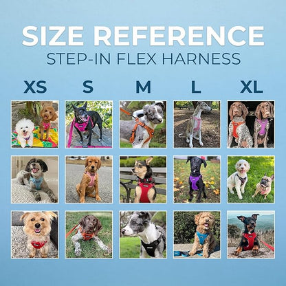 Best Pet Supplies Voyager Mesh Dog Breathable Harness Reflective Stitching, All Weather Adjustable for Walking Training, or Running - Heavy Duty & Durable, Harness (Red), M