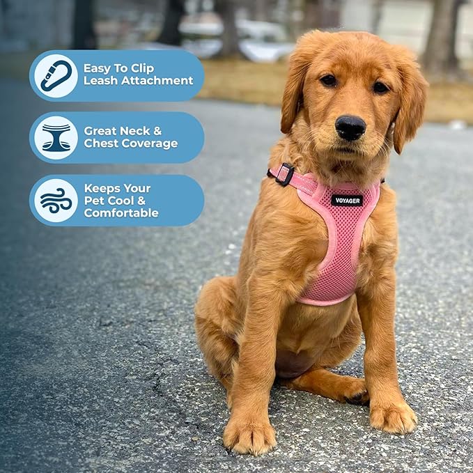 Best Pet Supplies Voyager Mesh Dog Breathable Harness Reflective Stitching, All Weather Adjustable for Walking Training, or Running - Heavy Duty & Durable, Harness (Pink), L