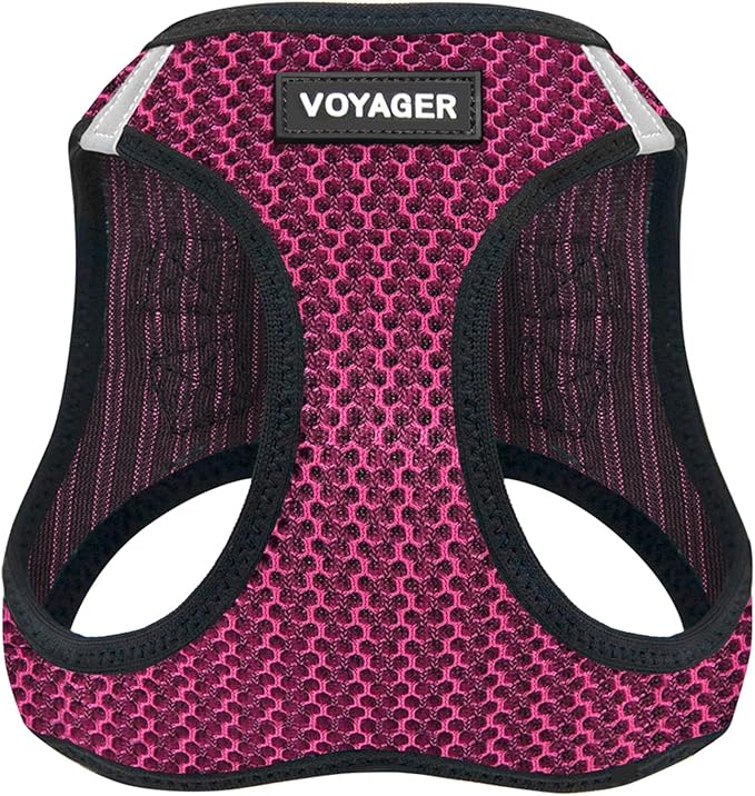 Best Pet Supplies Voyager Step-in Air Harness - All Weather Mesh, Reflective, No Pull Harness for Dogs, Cats - Secure with Hook & Loop Fastener, Buckle, Double D-Rings - Fuchsia 2-Tone, XL