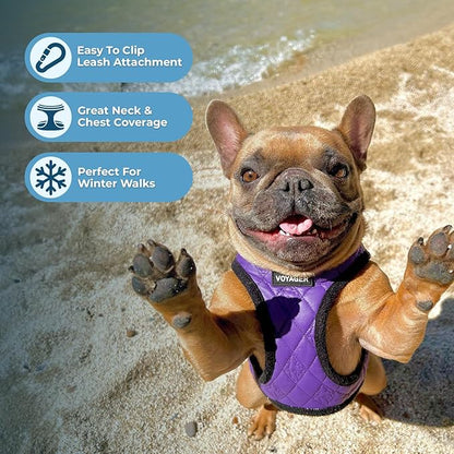 Best Pet Supplies - All Weather Mesh/Plush, Reflective, No Pull Harness for Small, Medium Dogs, Cats - Secure with Hook & Loop Fastener, Buckle, Double D-Rings - Purple Faux Leather, S