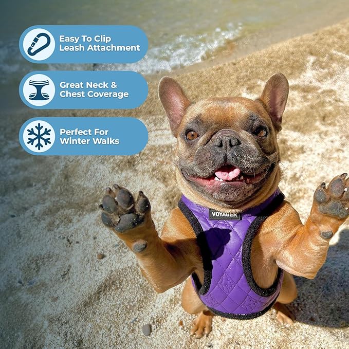 Best Pet Supplies - All Weather Mesh/Plush, Reflective, No Pull Harness for Small, Medium Dogs, Cats - Secure with Hook & Loop Fastener, Buckle, Double D-Rings - Purple Faux Leather, XS