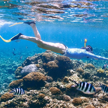 Kids Snorkeling Set Children Mask Fin Snorkel Set Snorkeling Gear Snorkel Mask + Adjustable Swimming Kids Flippers+ Dry Snorkel Tube + Travel Bags