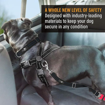 Active Pets Blue Car Seat Belt for Dogs, Attaches to Harness & Collar, Adjustable 18" - 24" Travel Restraint System Fits Small - Large Pups for Safety & Comfort, Essential Pet Supplies & Accessories