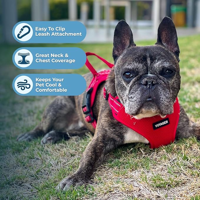 Best Pet Supplies Voyager Mesh Dog Breathable Harness Reflective Stitching, All Weather Adjustable for Walking Training, or Running - Heavy Duty & Durable, Harness (Red), M