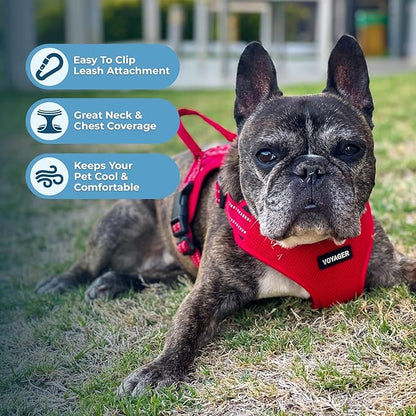 Best Pet Supplies Voyager Mesh Dog Breathable Harness Reflective Stitching, All Weather Adjustable for Walking Training, or Running - Heavy Duty & Durable, Harness (Red), M
