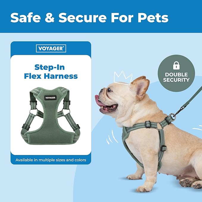 Best Pet Supplies Voyager Mesh Dog Breathable Harness Reflective Stitching, All Weather Adjustable for Walking Training, or Running - Heavy Duty & Durable, Moss Green, M