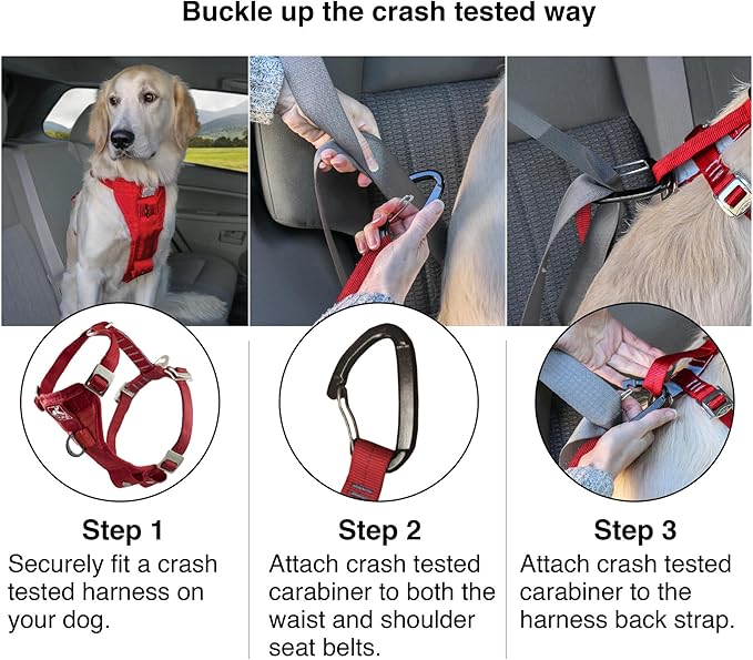 Kurgo Enhanced Strength Tru-Fit Dog Car Harness - Pet Travel Safety Harness - Crash Test Certified Fit - Five Point Adjustment - Secure Buckle - Padded Chest - Black - X-Large