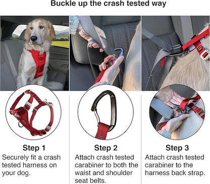 Kurgo Enhanced Strength Tru-Fit Dog Car Harness - Pet Travel Safety Harness - Crash Test Certified Fit - Five Point Adjustment - Secure Buckle - Padded Chest - Black - Large