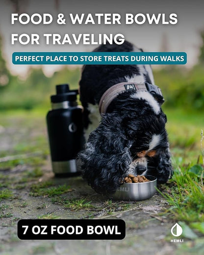 Dog Water Bottle Insulated Dog Travel Water Bottle Stainless Steel Pet Water Bottle Dispenser Portable Food and Water Bowl for Dogs with Carrying Case for Walking Dog Travel Kit… (Green Blue, 32 oz)