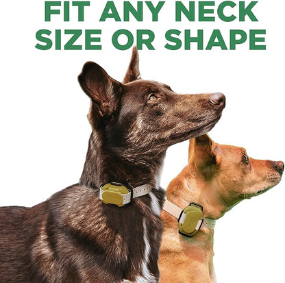 Dogtra CUE Gen 2 Tan – Customizable E-Collar for Dogs Training Collar with Remote – Easy, Safe, Beginner-Friendly Design – 99 Levels, Vibration, Boost, Waterproof, Rechargeable, 400-Yard Range