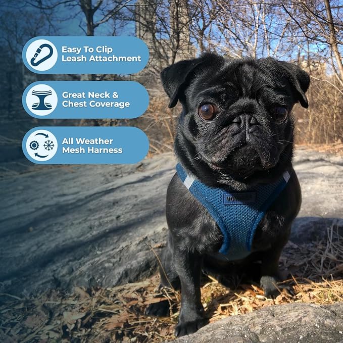 Voyager Step-in Air All Weather Mesh Harness and Reflective Dog 5 ft Leash Combo with Neoprene Handle, for Small, Medium and Large Breed Puppies by Best Pet Supplies - Set (Blue), S