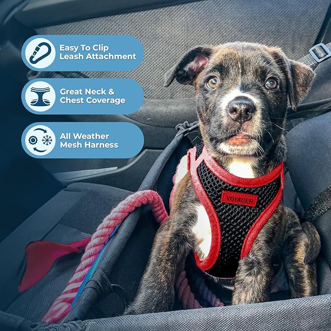 Voyager Step-in Air All Weather Mesh Harness and Reflective Dog 5 ft Leash Combo with Neoprene Handle, for Small, Medium and Large Breed Puppies by Best Pet Supplies - Red Trim, XS