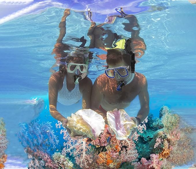 Snorkeling Gear for Adults with Fins Scuba Diving Gear Adult Professional Travel Snorkel Sets with Flippers,Anti-Fog Anti-Leak Diving Mask