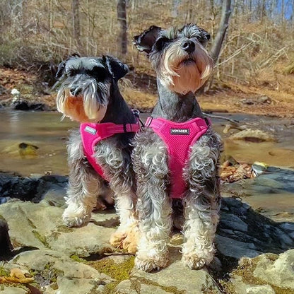 Best Pet Supplies Voyager Mesh Dog Breathable Harness Reflective Stitching, All Weather Adjustable for Walking Training, or Running - Heavy Duty & Durable, Harness Leash Set (Fuchsia), S