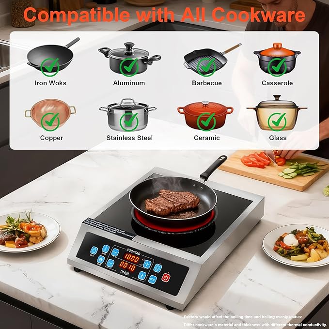 Dual Coils Design of Stainless Steel Single Burner Electric Cooktop, 1800W Commercial Ceramic Infrared Cooking Hot Plate, 12 inch Portable Countertop Radiant Stove Top Cooker with WATT n TEMP Control