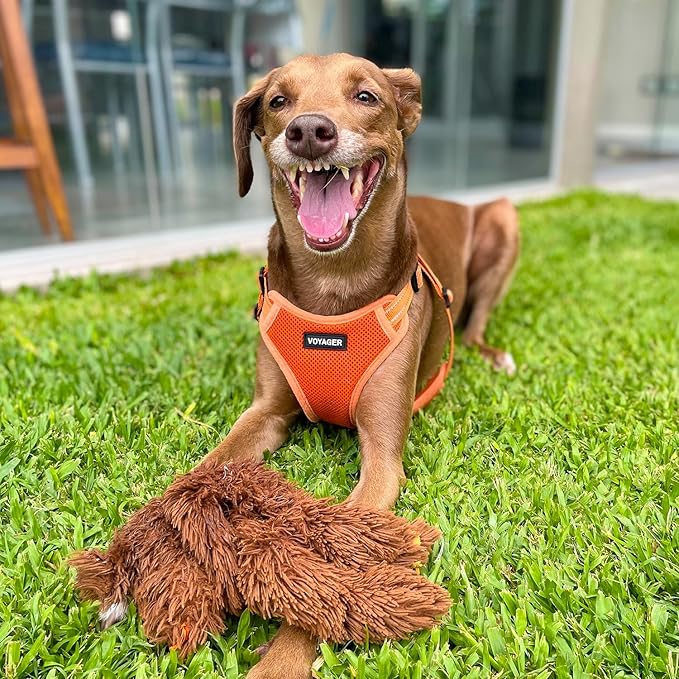 Best Pet Supplies Voyager Mesh Dog Breathable Harness Reflective Stitching, All Weather Adjustable for Walking Training, or Running - Heavy Duty & Durable, Harness Leash Set (Orange), S