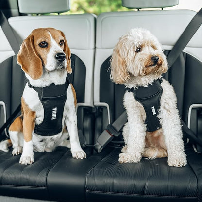 Thule Cappy Dog Harness L - Crash-Tested for Safety - Seatbelt passthrough - Adjustable & Easy to Clean - Padded Breathable mesh Panels - Leash Loop - Step-in Design