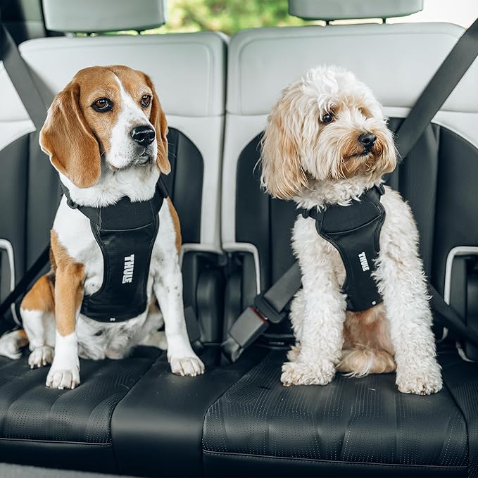 Thule Cappy Dog Harness S - Crash-Tested for Safety - Seatbelt passthrough - Adjustable & Easy to Clean - Padded Breathable mesh Panels - Leash Loop - Step-in Design