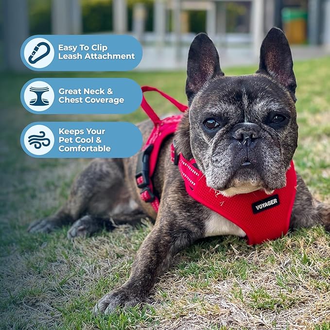Best Pet Supplies Voyager Mesh Dog Breathable Harness Reflective Stitching, All Weather Adjustable for Walking Training, or Running - Heavy Duty & Durable, Harness Leash Set (Red), L