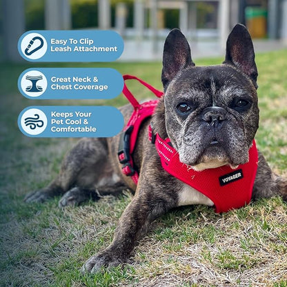 Best Pet Supplies Voyager Mesh Dog Breathable Harness Reflective Stitching, All Weather Adjustable for Walking Training, or Running - Heavy Duty & Durable, Harness Leash Set (Red), L