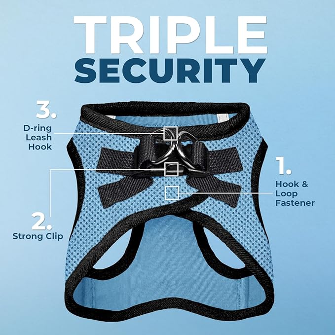 Voyager Step-in Air All Weather Mesh Harness and Reflective Dog 5 ft Leash Combo with Neoprene Handle, for Small, Medium and Large Breed Puppies by Best Pet Supplies - Baby Blue/Black Trim, XX-Small
