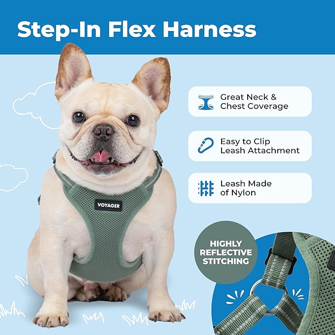 Best Pet Supplies Voyager Mesh Dog Breathable Harness Reflective Stitching, All Weather Adjustable for Walking Training, or Running - Heavy Duty & Durable, Moss Green, XS