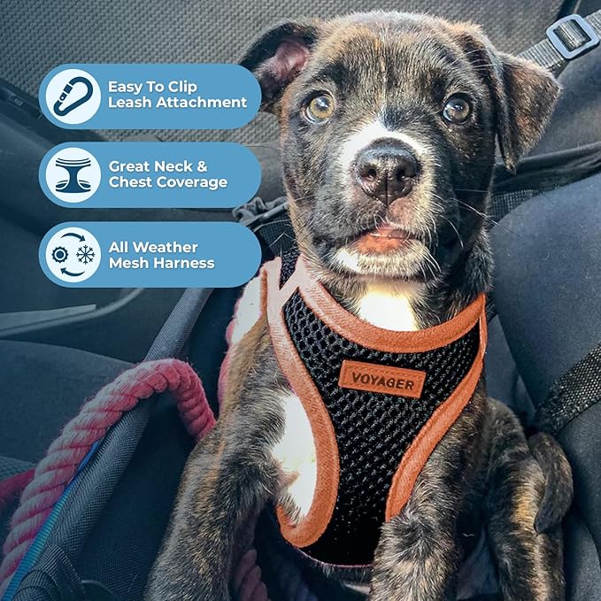 Voyager Step-in Air All Weather Mesh Harness and Reflective Dog 5 ft Leash Combo with Neoprene Handle, for Small, Medium and Large Breed Puppies by Best Pet Supplies - Black/Orange Trim, X-Small