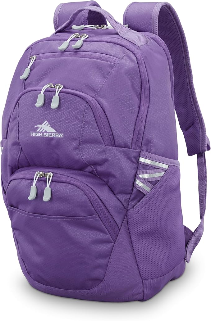 High Sierra Swoop SG Backpack, Travel or Work Laptop Bookbag with Drop Protection Pocket, and Tablet Sleeve, One Size, Light Purple