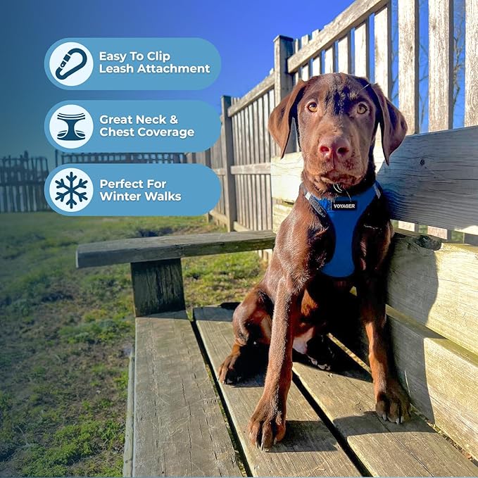 Best Pet Supplies - All Weather Mesh/Plush, Reflective, No Pull Harness for Small, Medium Dogs, Cats - Secure with Hook & Loop Fastener, Buckle, Double D-Rings - Royal Blue Faux Leather, XS
