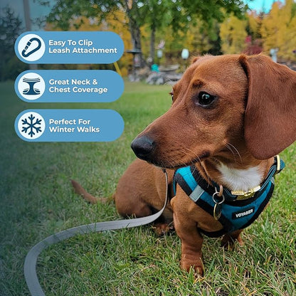 Best Pet Supplies - All Weather Mesh/Plush, Reflective, No Pull Harness for Small, Medium Dogs, Cats - Secure with Hook & Loop Fastener, Buckle, Double D-Rings - Turquoise Plush, XS