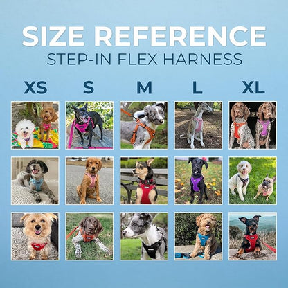 Best Pet Supplies Voyager Mesh Dog Breathable Harness Reflective Stitching, All Weather Adjustable for Walking Training, or Running - Heavy Duty & Durable, Harness Leash Set (Red), L