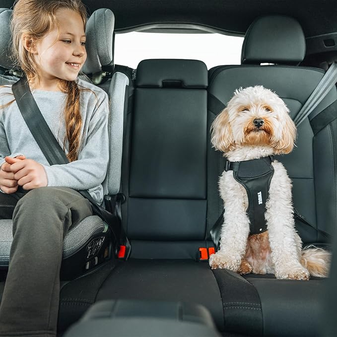 Thule Cappy Dog Harness S - Crash-Tested for Safety - Seatbelt passthrough - Adjustable & Easy to Clean - Padded Breathable mesh Panels - Leash Loop - Step-in Design