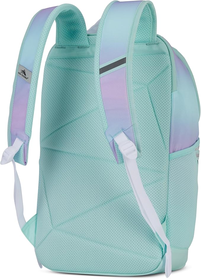 High Sierra Swoop Backpack with Laptop Pocket + Tablet Sleeve, Fits most 17” Laptops, 30L, Purple Blue