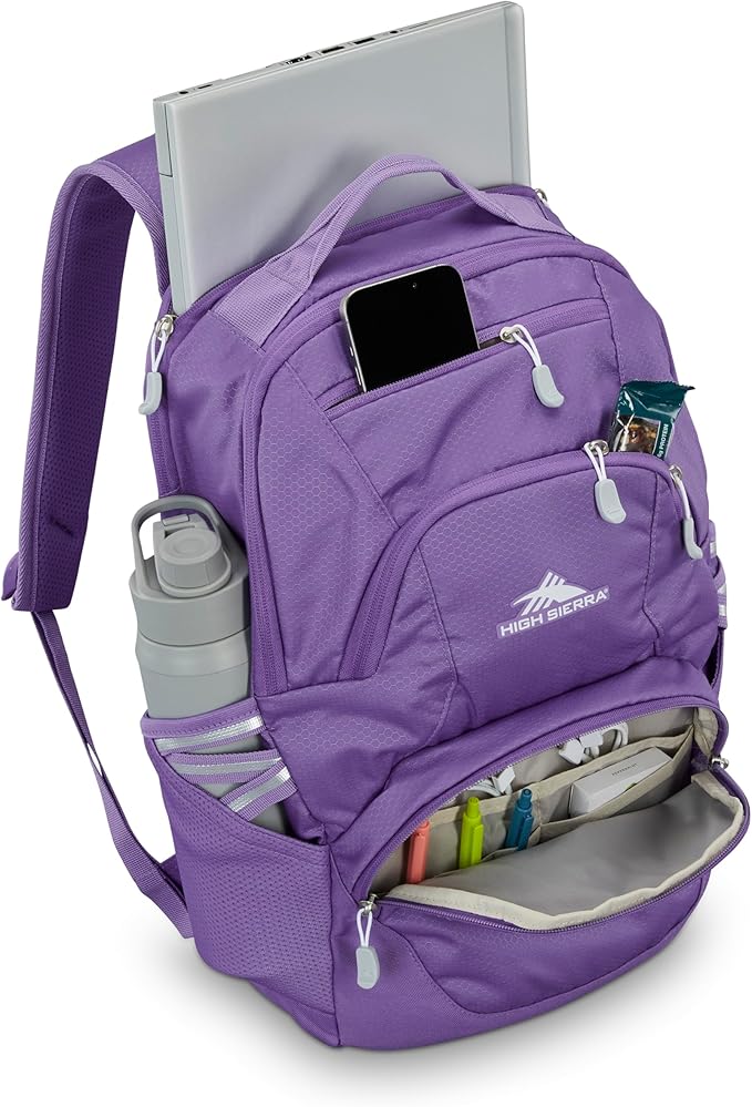 High Sierra Swoop SG Backpack, Travel or Work Laptop Bookbag with Drop Protection Pocket, and Tablet Sleeve, One Size, Light Purple