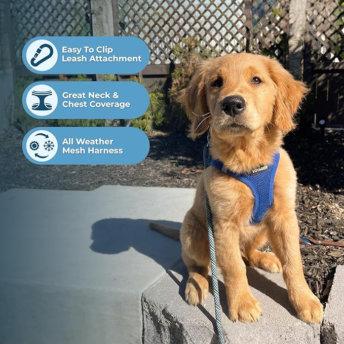 Voyager Step-in Air All Weather Mesh Harness and Reflective Dog 5 ft Leash Combo with Neoprene Handle, for Small, Medium and Large Breed Puppies by Best Pet Supplies - Set (Royal Blue), XL