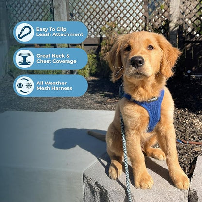 Voyager Step-in Air All Weather Mesh Harness and Reflective Dog 5 ft Leash Combo with Neoprene Handle, for Small, Medium and Large Breed Puppies by Best Pet Supplies - Set (Royal Blue), L