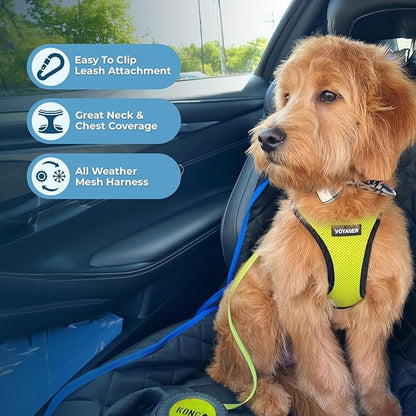 Voyager Step-in Air All Weather Mesh Harness and Reflective Dog 5 ft Leash Combo with Neoprene Handle, for Small, Medium and Large Breed Puppies by Best Pet Supplies - Lime/Black Trim, Small